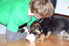 Nom du fichier=chots-berger-allemand-roxy-31janv-2012013.jpg
Taille du fichier=162Ko
Dimensions : 1200x795
Ajouté le : 31 Janvier 2012 chots-berger-allemand-roxy-31janv-2012013.jpg
