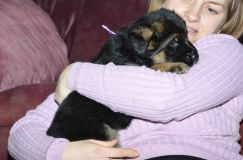 chots-berger-allemand-roxy-31janv-2012025.jpg