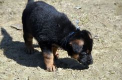 Nom du fichier=holibergerallemand-2012-avril-12017.jpg
Taille du fichier=236Ko
Dimensions : 1200x795
Ajouté le : 12 Avril 2012 holibergerallemand-2012-avril-12017.jpg