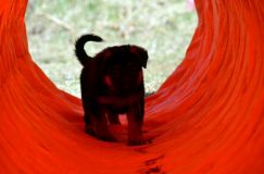 holibergerallemand-2012-avril-12036.jpg