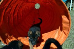 holibergerallemand-2012-avril-12039.jpg