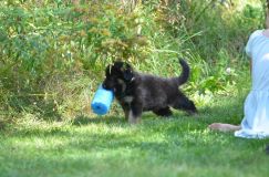 lucky09-23-17039.jpg
