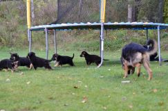 Nom du fichier=lucky10-09-17002.jpg
Taille du fichier=248Ko
Dimensions : 1200x795
Ajouté le : 09 Octobre 2017 lucky10-09-17002.jpg