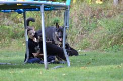 Nom du fichier=lucky10-09-17010.jpg
Taille du fichier=170Ko
Dimensions : 1200x795
Ajouté le : 09 Octobre 2017 lucky10-09-17010.jpg