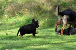 Nom du fichier=lucky10-09-17015.jpg
Taille du fichier=185Ko
Dimensions : 1200x795
Ajouté le : 09 Octobre 2017 lucky10-09-17015.jpg
