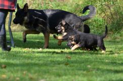 Nom du fichier=lucky10-09-17018.jpg
Taille du fichier=173Ko
Dimensions : 1200x795
Ajouté le : 09 Octobre 2017 lucky10-09-17018.jpg