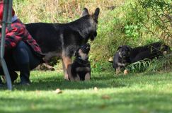 Nom du fichier=lucky10-09-17020.jpg
Taille du fichier=219Ko
Dimensions : 1200x795
Ajouté le : 09 Octobre 2017 lucky10-09-17020.jpg