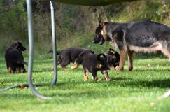 Nom du fichier=lucky10-09-17023.jpg
Taille du fichier=189Ko
Dimensions : 1200x795
Ajouté le : 09 Octobre 2017 lucky10-09-17023.jpg