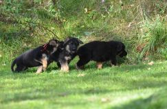 Nom du fichier=lucky10-09-17027.jpg
Taille du fichier=282Ko
Dimensions : 1200x795
Ajouté le : 09 Octobre 2017 lucky10-09-17027.jpg