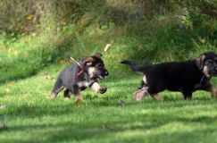 Nom du fichier=lucky10-09-17035.jpg
Taille du fichier=162Ko
Dimensions : 1200x795
Ajouté le : 09 Octobre 2017 lucky10-09-17035.jpg