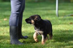 Nom du fichier=lucky10-09-17038.jpg
Taille du fichier=163Ko
Dimensions : 1200x795
Ajouté le : 09 Octobre 2017 lucky10-09-17038.jpg