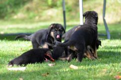 Nom du fichier=lucky10-09-17049.jpg
Taille du fichier=166Ko
Dimensions : 1200x795
Ajouté le : 09 Octobre 2017 lucky10-09-17049.jpg