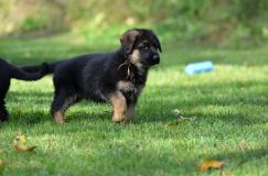 Nom du fichier=lucky10-09-17055.jpg
Taille du fichier=172Ko
Dimensions : 1200x795
Ajouté le : 09 Octobre 2017 lucky10-09-17055.jpg