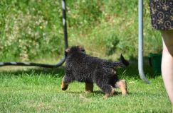 Nom du fichier=soukibebe-juill-18-17021.jpg
Taille du fichier=207Ko
Dimensions : 1200x795
Ajouté le : 18 Juillet 2017 soukibebe-juill-18-17021.jpg