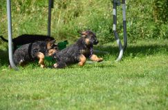 Nom du fichier=soukibebe-juill-18-17038.jpg
Taille du fichier=235Ko
Dimensions : 1200x795
Ajouté le : 18 Juillet 2017 soukibebe-juill-18-17038.jpg